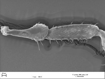 Media type: image;   Invertebrate Zoology 147385   shows cataloged_item 147385